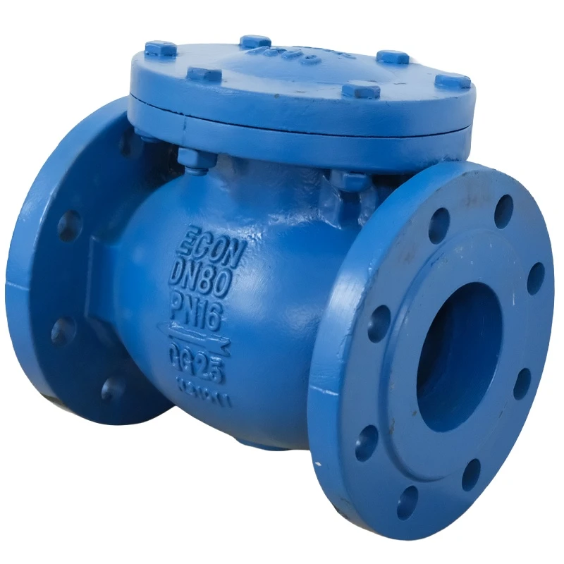 BS 5153 Swing Check Valve2